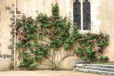 фото отеля Chateau De La Verrerie Oizon