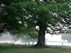 фото отеля Chateau De La Verrerie Oizon