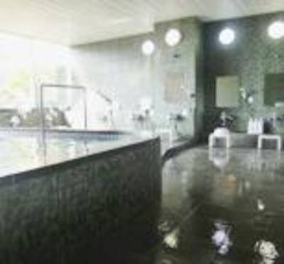 фото отеля Oki Plaza Hotel