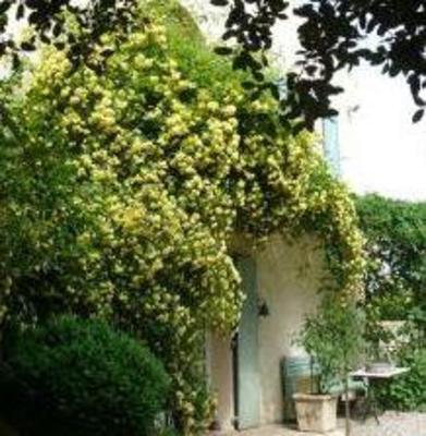 фото отеля Mas de Ra Cottage Bourdic
