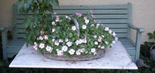 фото отеля Mas de Ra Cottage Bourdic