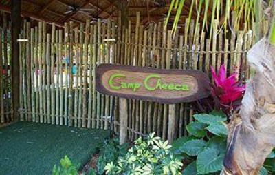 фото отеля Cheeca Lodge Islamorada