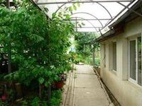 Pension Garofita Iasi