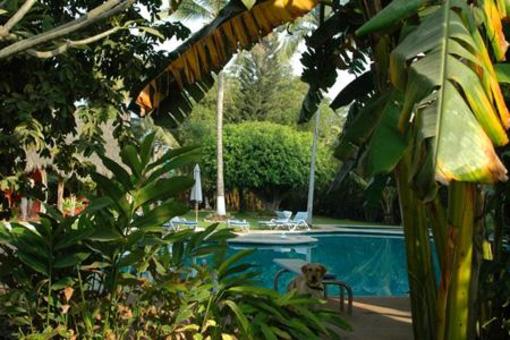 фото отеля Villa Magnolia B&B
