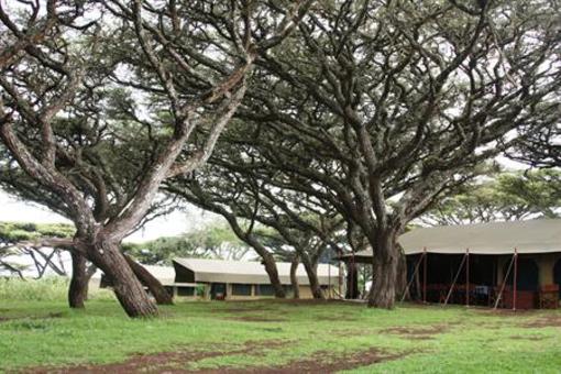 фото отеля Lemala Ngorongoro Camp