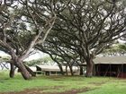 фото отеля Lemala Ngorongoro Camp