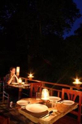 фото отеля The Wild Orchid Resort