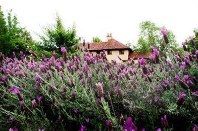 фото отеля Rancho Caymus Inn