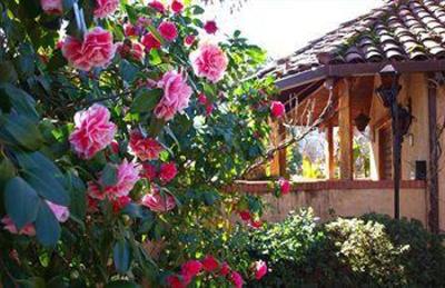 фото отеля Rancho Caymus Inn