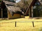 фото отеля Hotel Harare Safari Lodge