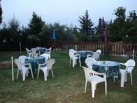 Il Parco Degli Ulivi