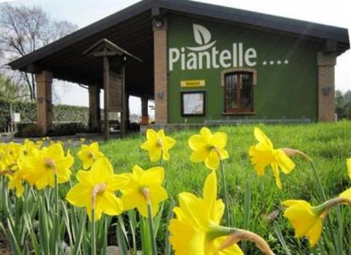 фото отеля Piantelle Camping