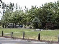 Nites Inn Motel & RV Park