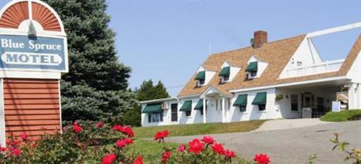 фото отеля Blue Spruce Motel and Townhouses Plymouth (Massachusetts)