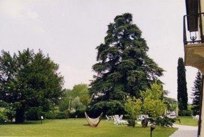 фото отеля Palazzo Loup