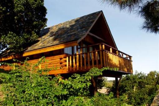 фото отеля Abalone Lodges