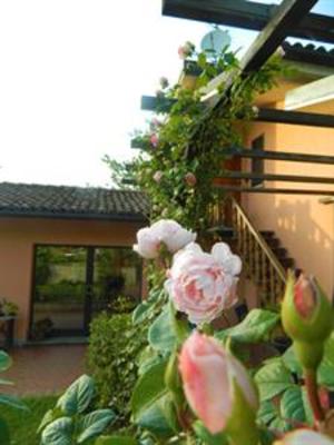 фото отеля B&B Nonna Du