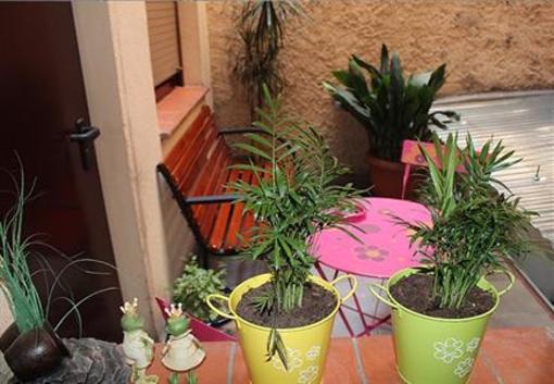 фото отеля Hostal La Barretina Figueres