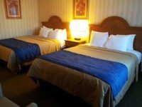 Comfort Inn Maingate Anaheim