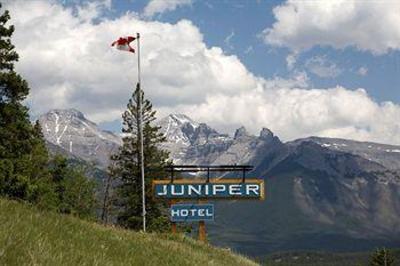 фото отеля The Juniper Hotel