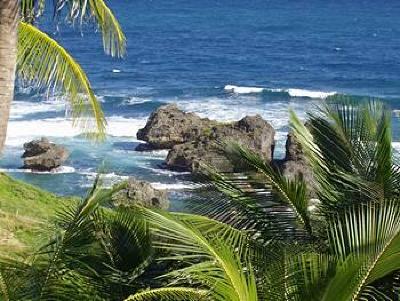 фото отеля Sea U Guest House Bathsheba