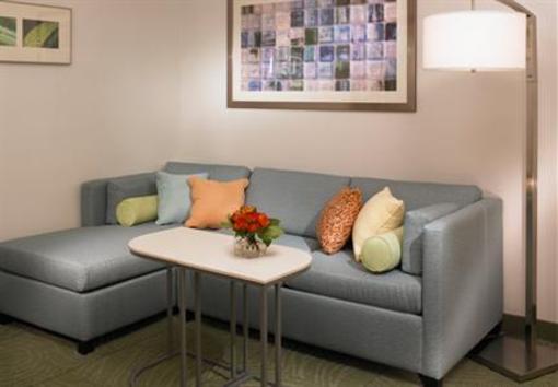 фото отеля SpringHill Suites Detroit Metro Airport Romulus