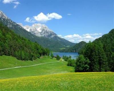 фото отеля Hotel Alpin Scheffau am Wilden Kaiser