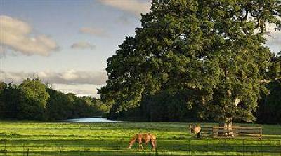 фото отеля Castlemartyr Resort