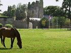 фото отеля Castlemartyr Resort
