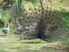 фото отеля Guinzano Holiday House Gubbio