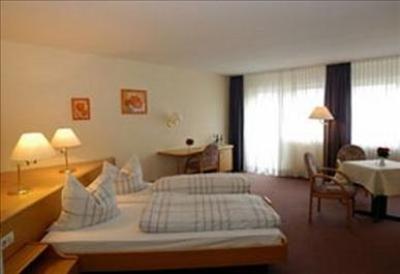 фото отеля Hotel Hirt Deisslingen