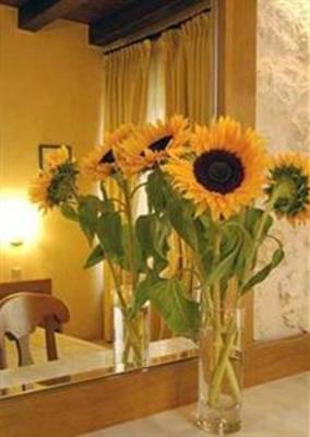 фото отеля Ideon Hotel