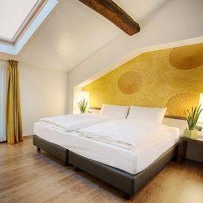 фото отеля Hotel Internazionale Bellinzona