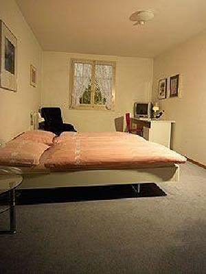 фото отеля Hotel Weisses Kreuz Lyss