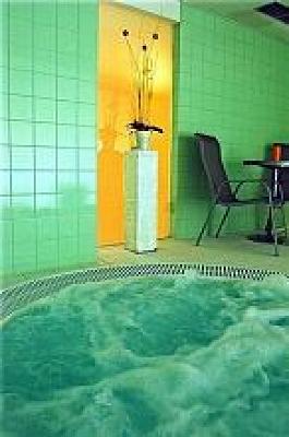 фото отеля OREA Wellness Hotel Santon