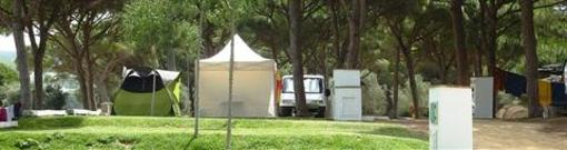 фото отеля Camping Pinar San Jose