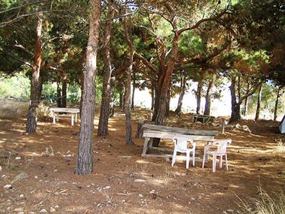 фото отеля Pine Tree Studios Karpathos