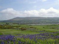 Newport Links Golf Resort