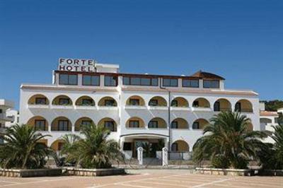 фото отеля Forte Hotel