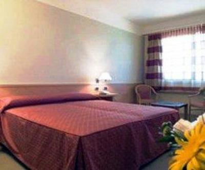 фото отеля Golden Tulip Ianua Hotel Valenza