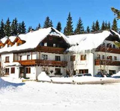 фото отеля Alpen-Gasthof Pension Fichtenheim