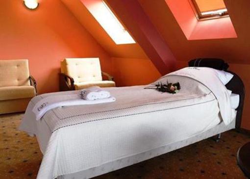 фото отеля Hotel Skalny Dworek