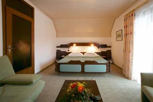 фото отеля Alp Penzion