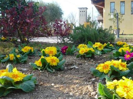 фото отеля Agriturismo Lupo Bianco