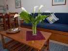 фото отеля Atalaia Sol Aparthotel Lagos