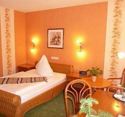 фото отеля Hotel Schenkenberger Hof