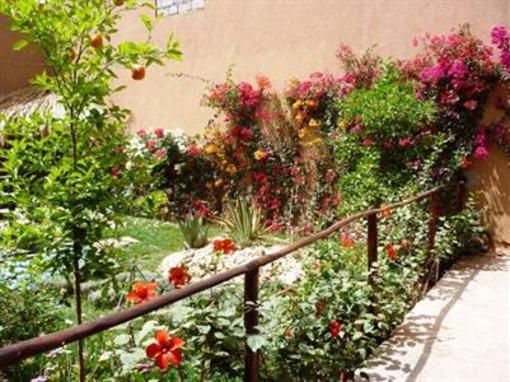 фото отеля La Petite Kasbah Hotel Zagora