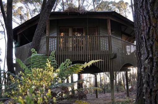 фото отеля Federation Gardens & Possums Hideaway