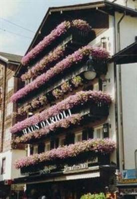 фото отеля Hotel Darioli