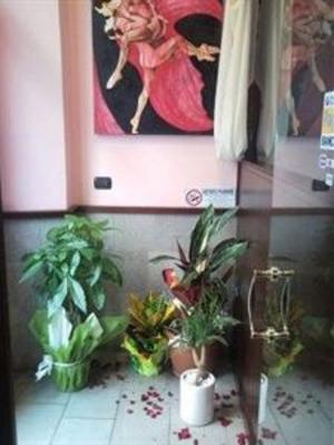 фото отеля Albergo al Viale